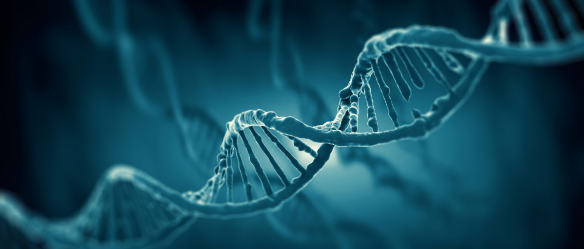 CASE STUDY: Helping a life science HR team with technical prequalification