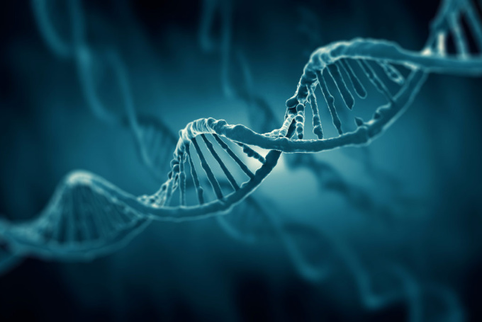 CASE STUDY: Helping a life science HR team with technical prequalification