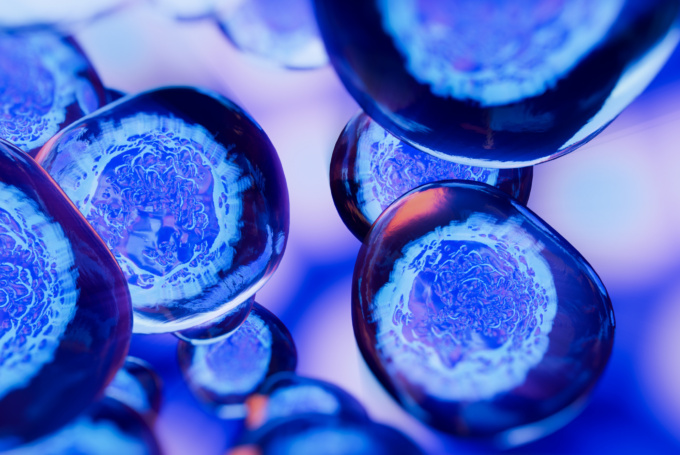 CASE STUDY: Cultivating Cultural Fit for European Life Sciences Company Filter Service