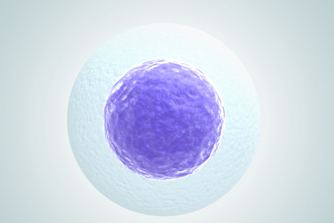 Technology Spotlight: Single-Cell Analysis