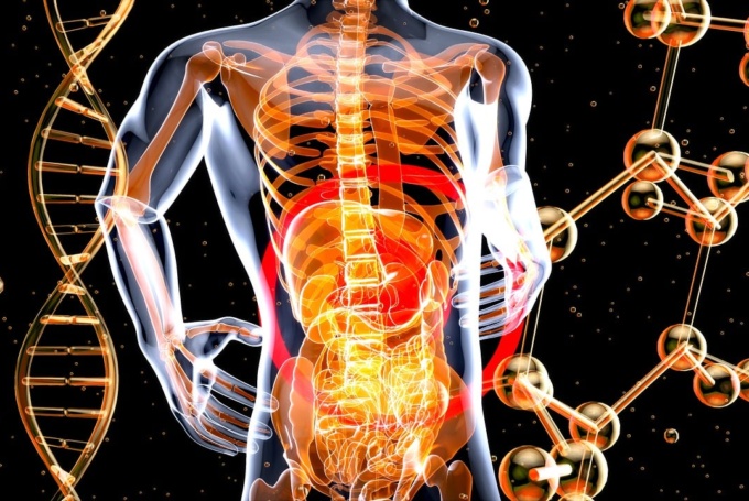 Digestive Health: The Startups Revolutionizing GI Care