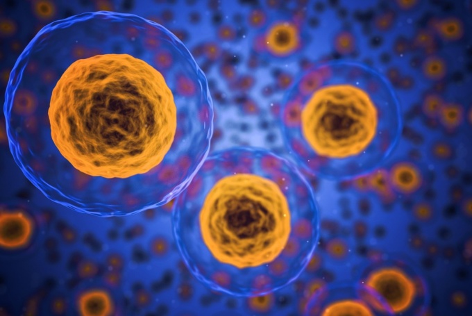 Biotech Funding Throughout Q4 2024 | Seed to Series A-E