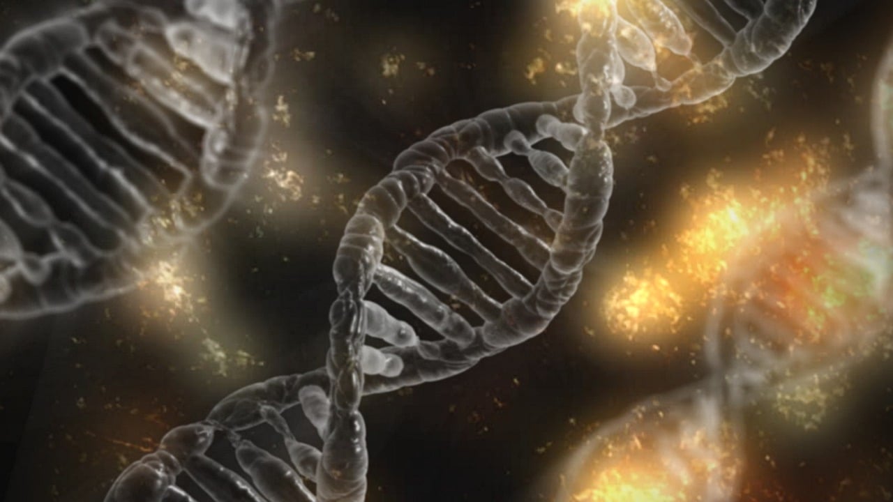 dna life science