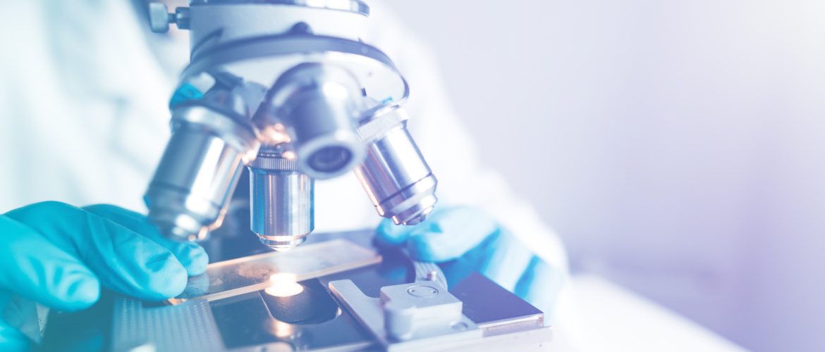 CASE STUDY: Building a Global FAS Team | 21 Hires with 91% Retention